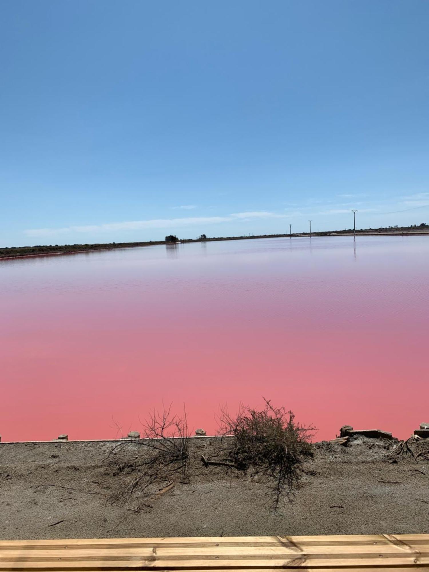 Nuits Salines 에그모르트 외부 사진